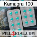 Kamagra 100 29
